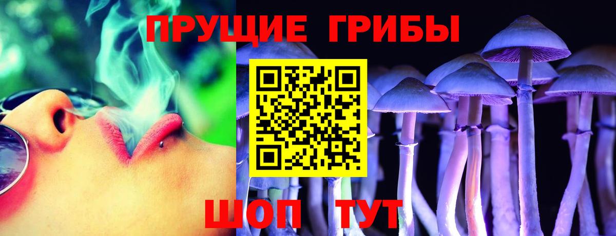 Галлюциногенные грибы GOLDEN TEACHER  Вход с VPN  Галлюциногенные грибы Cubensis  Железноводск 